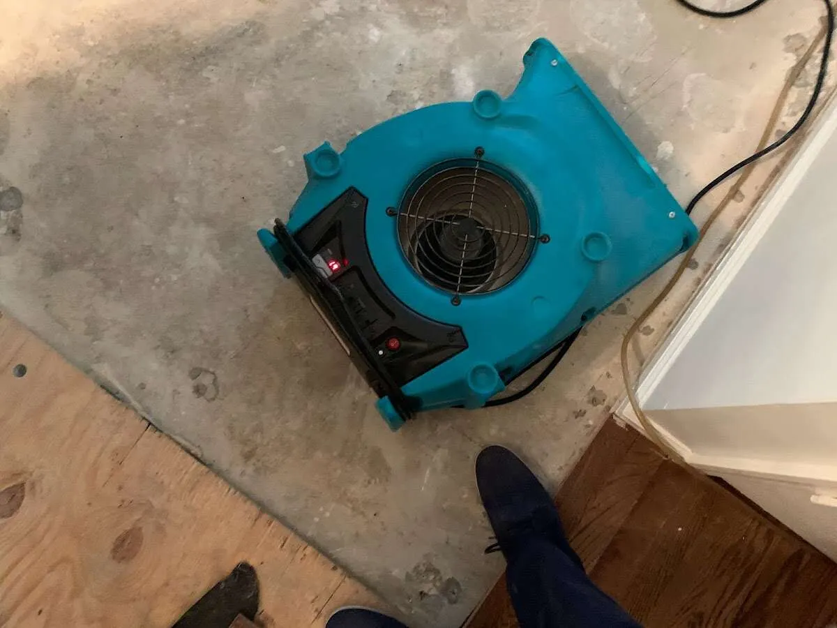 Air mover drying subfloor during Leak Detection & Repair in Southbridge Town